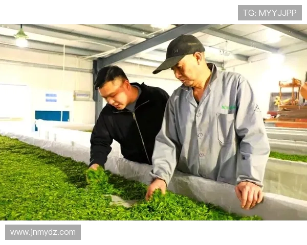 重庆篮球队防守革新之路：从传统到现代的全新转型探索